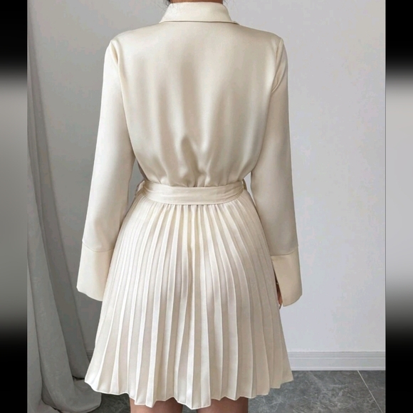 New Long Sleeve Shirt Dress With Pleated Hem Design, Commuting Elegant Stylish - Picture 4 of 4